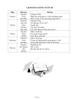 Thiết kế bài dạy môn học lớp 1 - Tuần 30