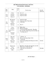 Bài soạn các môn lớp 2 - Tuần 8 - Hà Thị Nương