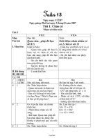 Giáo án các môn lớp ghép 2 + 4 - Tuần 13 năm học 2007