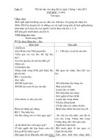 Giáo án Tổng hợp môn lớp 2 - Tuần lễ 17 năm 2013