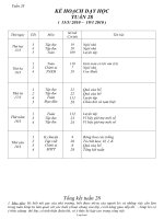 Giáo án Tổng hợp môn lớp 1 - Tuần học 28