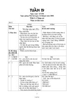 Giáo án các môn lớp ghép 2 + 4 - Tuần 19