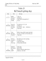 Giáo án Tổng hợp môn học lớp 1 - Trường TH Số 1 Ngô Mây - Tuần 25 (chi tiết)