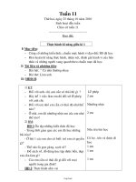 Kế hoạch bài học lớp 1 năm 2010 - 2011 - Tuần 11