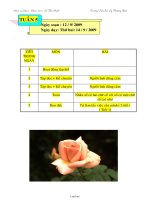 Giáo án Lớp 3 Tuần 5 - Thứ 2, 3 - Trường Tiểu học Lý Thường Kiệt