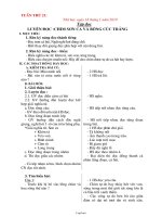 Bài soạn các môn khối 2 - Tuần 21 năm 2010