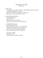 Giáo án Sinh hoạt tập thể - Tuần 17