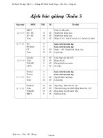 Kế hoạch bài dạy: Lớp 3 Tuần 5 - Trường TH Bình Trinh Đông