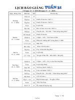 Thiết kế giáo án Tổng hợp khối 2 - Tuần 31 năm học 2010