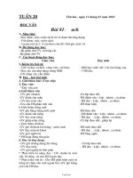 Kế hoạch bài dạy các môn lớp 1 - Tuần học 20 năm 2010