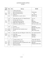Giáo án các môn học khối 2 - Tuần 3 năm 2010