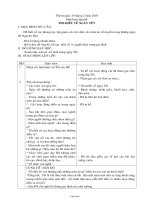 Giáo án Hoạt động tập thể - Tiết 24: Tìm hiểu về ngày tết