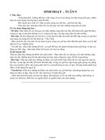 Giáo án Sinh hoạt – tuần 9