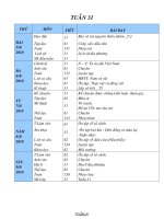 Giáo án môn học Lớp 5 Tuần 31, 32