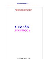 Giáo án lớp 6 môn học Sinh học - Tuần 1 - Tiết 1 - Bài 1 : Thế giới động vật đa dạng phong phú