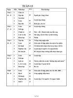 Giáo án Ngữ văn 8 tiết 83 bài 23: Tập làm văn: Thuyết minh về một danh lam thắng cảnh