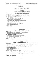 Giáo án buổi chiều lớp 2 - Trường Tiểu học Thị trấn Tây Sơn - Tuần 12