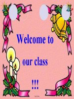 Bài soạn môn học Tiếng Anh khối lớp 11 - Unit 10: Nature in danger - Lesson A: Reading