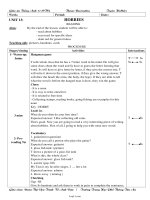 Thiết kế bài dạy môn Tiếng Anh 11 - Unit 13: Hobbies - Trường Trung Học Phổ Thông Tân An