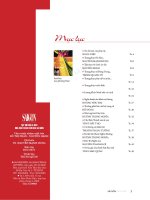 Áo dài xưa của phụ nữ Sài Gòn - Nam Bộ - Ngọc Diệp - Trường Đại Học Quốc Tế Hồng Bàng