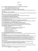 Ôn tập HKII Vật lý 7