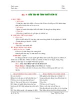 Giáo án Sinh học lớp 8 - Trường THCS Hưng Khánh Trung - Bài 9: Cấu tạo và tính chất của cơ