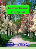 Keo dán gỗ Bujio chất lượng tại Hà Nội