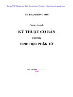 Giáo trình: Kỹ thuật cơ bản trong sinh học phân tử
