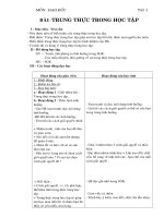 Mẫu Cổng trại tuyệt đẹp