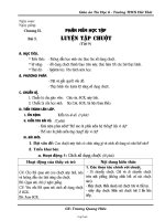 Giáo án Tin học 6 - Tiết 9, 10: Luyện tập chuột