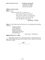 Đê thi HSG môn Ngữ văn lớp 8