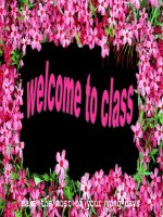 Thiết kế bài dạy môn Tiếng Anh 11 - Unit 13: Hobbies - Lesson 2: Speaking