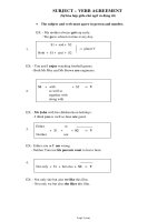 Bài ôn tập môn Tiếng Anh khối 11 - Subject – verb agreement (sự hòa hợp giữa chủ ngữ và động từ)