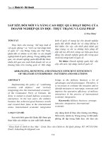 Sắp xếp, đổi mới và nâng cao hiệu quả hoạt động của doanh nghiệp quân đội - thực trạng và giải pháp - Trường Đại Học Quốc Tế Hồng Bàng