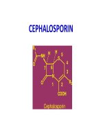 Bài giảng Hóa dược: Cephalosporin - Trường Đại Học Quốc Tế Hồng Bàng