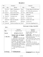 Giáo án Lớp ghép 4 & 5 - Tuần 5 - Buổi chiều