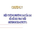 Bài giảng Kinh tế lượng - Chương 7: Hiện tượng phương sai của sai số (số dư) thay đổi - Trường Đại Học Quốc Tế Hồng Bàng