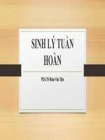 Bài giảng Sinh lý tuần hoàn - PGS.TS Đàm Văn Tiện