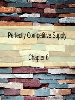 Lecture Principles of economics (Asia Global Edition) - Chapter 6