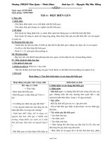 Giáo án Sinh 12 tiết 4: Đột biến gen