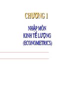 Bài giảng Kinh tế lượng - Chương 1: Nhập môn kinh tế lượng - Trường Đại Học Quốc Tế Hồng Bàng