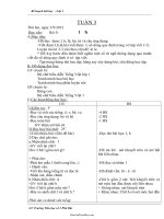 Bài soạn môn học Tiếng Anh lớp 11 - Unit 11: Sources of energy (reading)