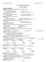 Đề cương ôn tập học kì I môn: Vật lí lớp 7