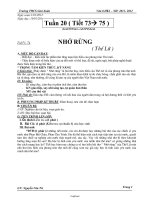 Giáo án Ngữ văn 8 kì 2 - Trường THCS Giai Xuân