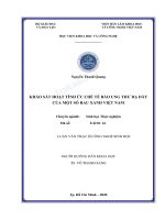 Luận văn Thạc sĩ Công nghệ sinh học: Khảo sát hoạt tính ức chế tế bào ung thư dạ dày của một số rau xanh Việt Nam - Trường Đại học Công nghiệp Thực phẩm Tp. Hồ Chí Minh