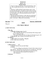 Giáo án Ngữ văn 8 tiết 89: Tiếng Việt Câu trần thuật