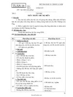 Giáo án Tổng hợp môn học lớp 1 - Tuần lễ 16 năm 2010