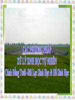 Bài giảng Các phương pháp xử lý sinh học tự nhiên: Cánh đồng tưới – Bãi lọc sinh học và hồ sinh học