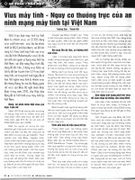 Virut máy tính - Nguy cơ thường trực của an ninh mạng máy tính tại Việt Nam