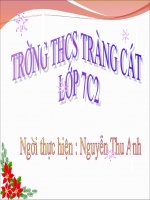 Tranh vẽ mĩ thuật 6